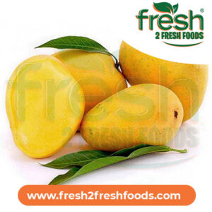 Mangoes Sweet Jamaican
Mangoes/kg 
now available